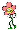 :blume
