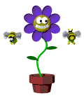 :blume1