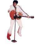 :elvis
