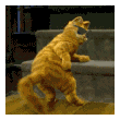 :garfield