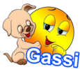 :gassi1