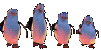 :pingu