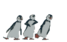 :pingu2