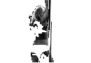 :sta